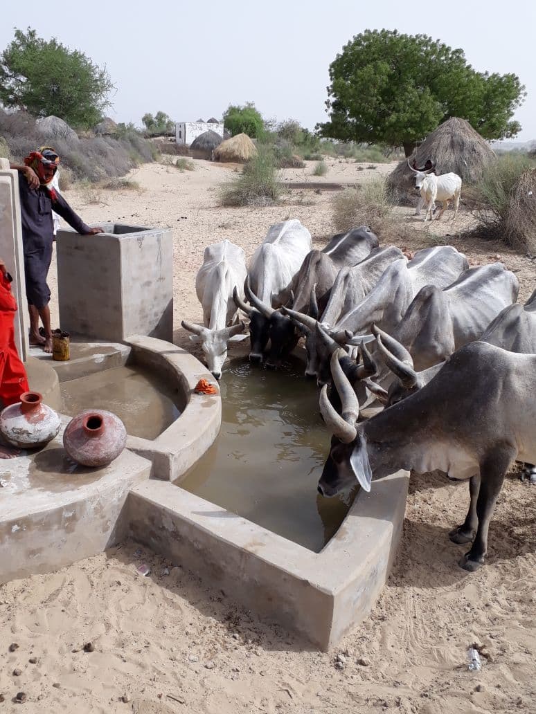 Community members gathered around a clean water well